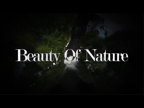 Beauty of Nature