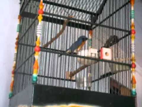 Tledekan Lovers Page 42 Kaskus