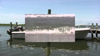 Chris Forsyth & Koen Holtkamp "Long Beach Idyll" (Official video)