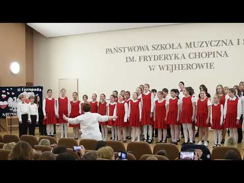 Dla Niepodległej szli