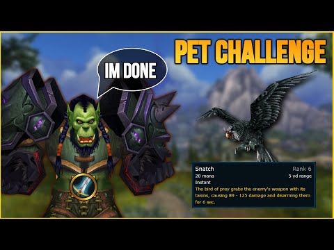 Bird pet PvP action 🦅 - Survival Hunter PvP WotLK Classic