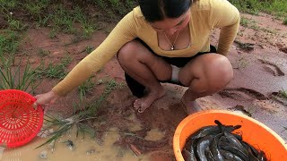 Download lagu SPICY Fishing - Amazing Finding & Catching Fish A Lot Of By Hand mp3