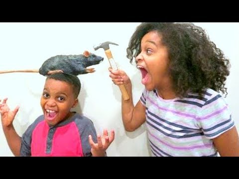 GROSS Rat Chase! - Try Not To Laugh - Shasha And Shiloh - Onyx Kids