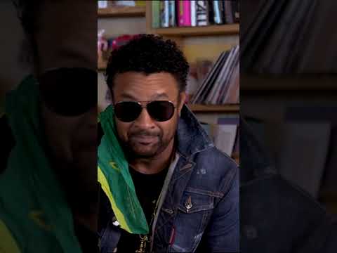 Sting & Shaggy - Englishman in New York