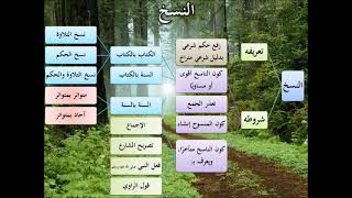 المدخل إلى علم أصول الفقه 2/9 - عامر بهجت image