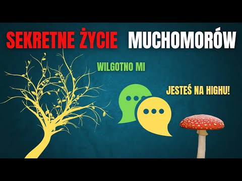 Czy Muchomor Czerwony rozmawia z drzewami? Cz. 5