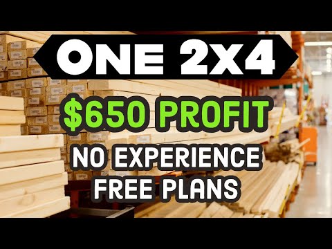 ANYONE Can Make This Project! 30 Products. One 2x4.