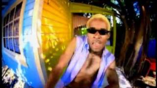 Who Let the Dogs out  - Baha men Original  music video