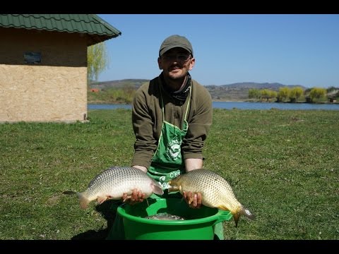 Mincinosii - 16 aprilie 2017