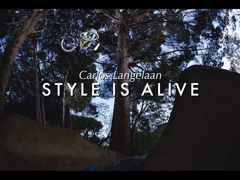 Style Is Alive - Carlos Langelaan