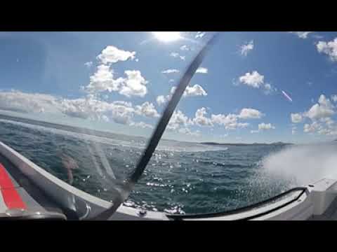 All new Saxdor 200 Pro Sport 175hp Mercury with idealboat.com