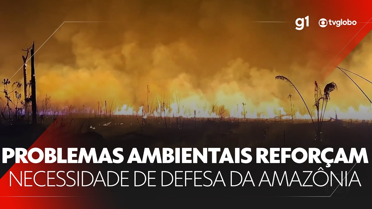 Celebração do Dia da Amazônia é ofuscada por queimadas recordes e seca severa dos rios #g1 #JN