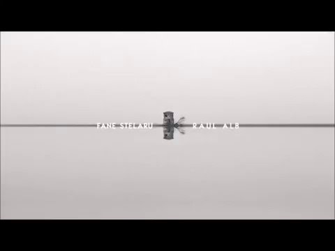 8. Fane Stelaru  - Orasul cu ceru' mov