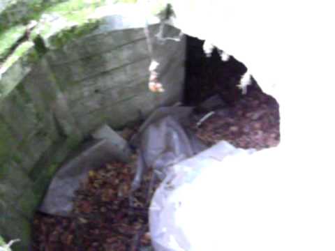 Undocumented WWII German Tobruk Bunker on Maas-Rur Defense Line