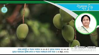 কোন ছবি নেই