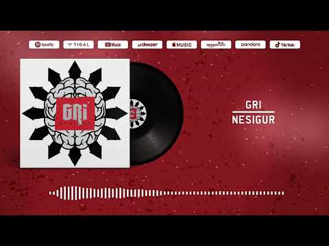 GRI - Nesigur (visualiser)