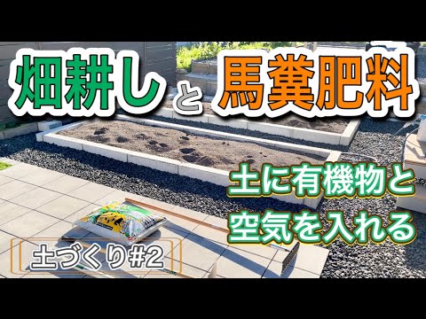 冬に庭で馬糞を使用するにはどうすればよいですか？利点、アドバイス、使用方法  庭園