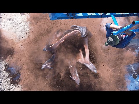 Monstrous Man-Eating Graboids | Tremors Ultimate Franchise Collection