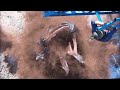 Monstrous Man Eating Graboids Tremors Ultimate Franchise Collection