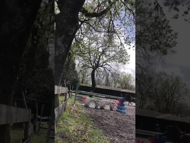  Urgent Av entier 8 ans 