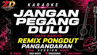 Download lagu JANGAN PEGANG DULU – Elvy Sukaesih | Karaoke Nada Wanita | Pongdut Version | Lagu Lawas Viral | ZD  mp3