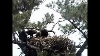 NextEra Energy/BRI Maine Eagles ..  7-16-12 .. Eden's squeaky voice and 2 deliveries