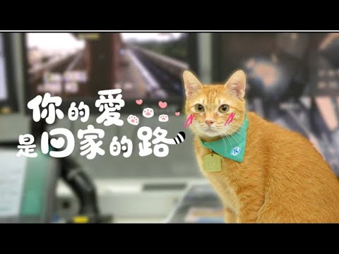 你的愛是回家的路♥