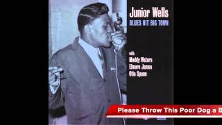 Junior Wells - Blues Hit Big Town (Track 13 - Please Throw This Poor Dog a Bone [alternate] )