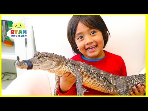 Surprise Ryan with Pet Crocodile!