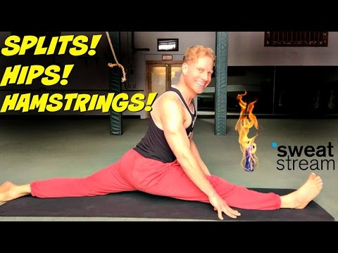 25 Min Splits, Hips & Hamstrings Stretch Routine w/ Sean Vigue - How to do the Splits Exercises
