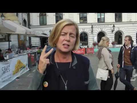 Feminism utan socialism – Maria Arnholm förklarar