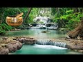 Cuencos Tibetanos Con Agua CASCADA Relajante Sonidos Naturales Con Cuencos Tibetanos
