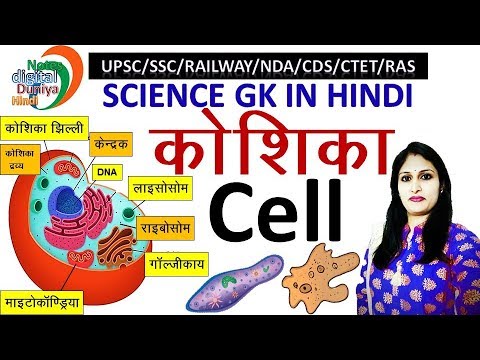 मानव कोशिका | Human Cell | Cell Structure and Function in Hindi | कोशिका संरचना | Biology | Koshika Video