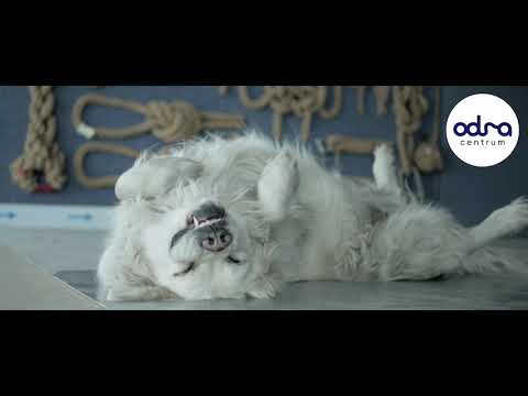 Odra Centrum - miejsce spotkań na wodzie!