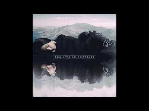 Dua Lipa - No Goodbyes (Instrumental)