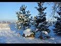 Волшебная мелодия зимы 