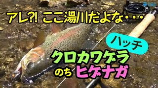ティムコ動画 ティムコ ティムコ動画 ティムコ