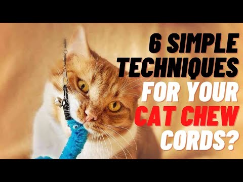 6 Simple Techniques For Your Cat Chew Cords?