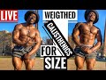 Weighted Calisthenics | Workout for Size & Strength