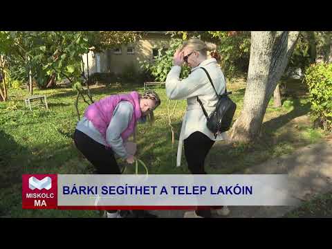 Videó előnézet