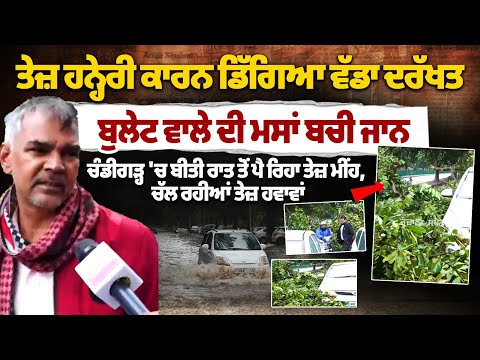 ਤੇਜ਼ ਹਨ੍ਹੇਰੀ ਕਾਰਨ ਡਿੱਗਿਆ ਵੱਡਾ ਦਰੱਖਤ, ਬੁਲੇਟ ਵਾਲੇ ਦੀ ਮਸਾਂ ਬਚੀ ਜਾਨ