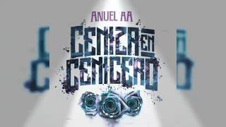Anuel AA Ceniza En Cenicero
