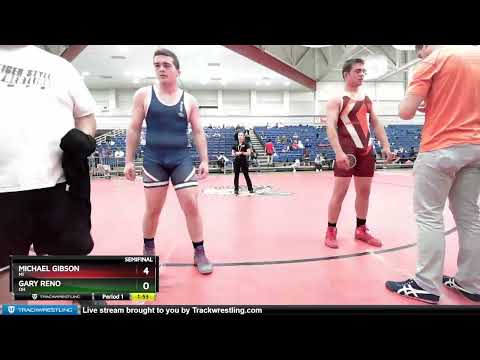 195 Lbs Semifinal - Michael Gibson, MI Vs Gary Reno, OH 427a