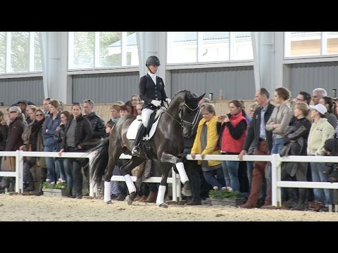 Fürsten-Look DVH 1185