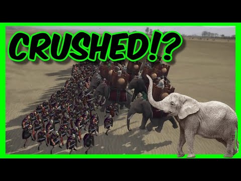 🐘War Elephants VS Praetorians | Rome 2 total war fights
