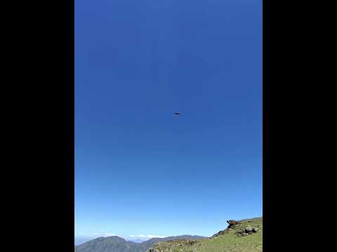 cóndor avistaje cachi. #cóndor #cachi #salta