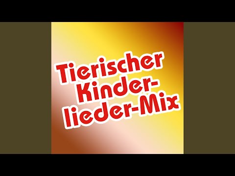 Kleines Babykrokodil (Mixed)