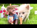 Monkey Baby Bon Bon goes to the supermarket to buy food and eats rainbow ice cream with the puppy