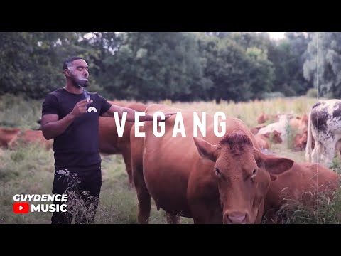 Guydence Ft Francisco Gomes - Vegang (Music Video)
