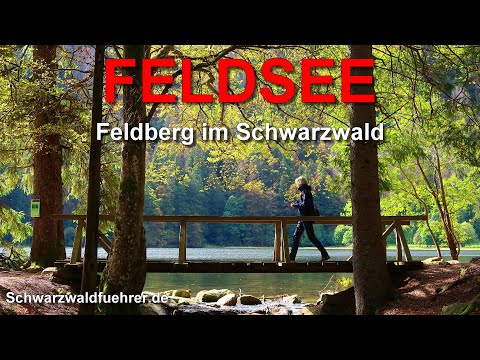 Feldsee am Feldberg im Schwarzwald